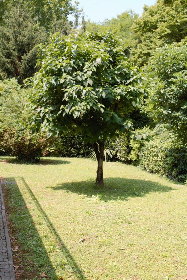 Appartamento Le Magnolie 2 Mestre Exterior foto